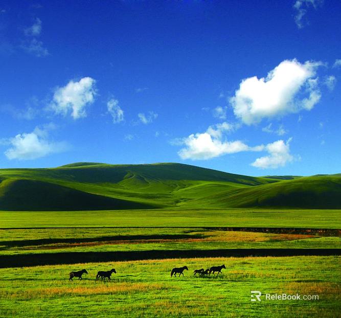 Wild Scenery texture