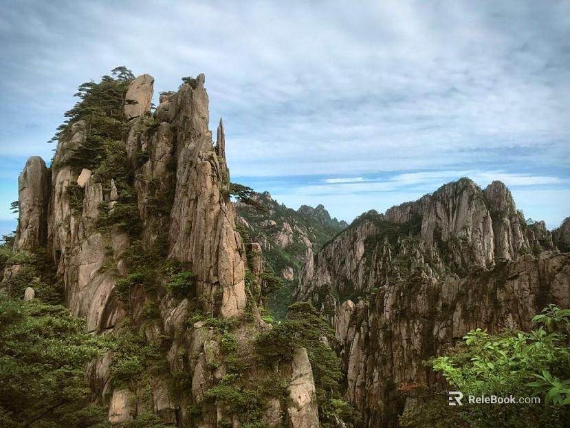 Wild Scenery texture