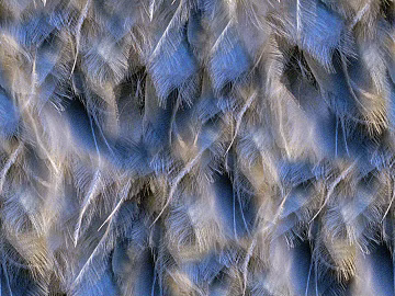 plastic rubber texture (ID:ffabg99040)