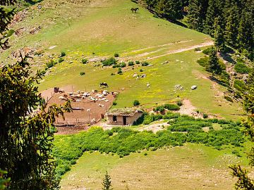 Pastoral scenery texture (ID:ffaeg20671)