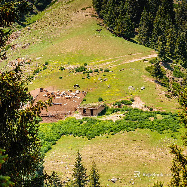 Pastoral scenery texture