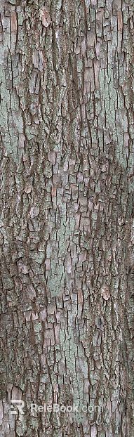 bark texture