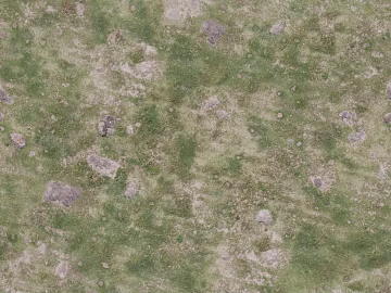 Turf ground texture (ID:ffaaf7525)