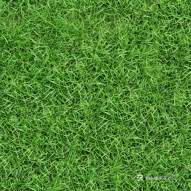 Turf ground texture