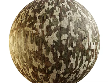East Asian Bark PBR texture (ID:ffach822024)