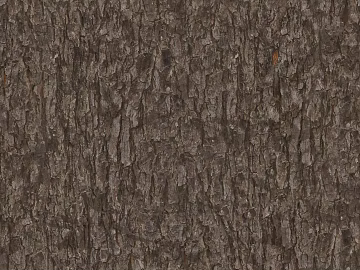 bark texture (ID:ffach751665)