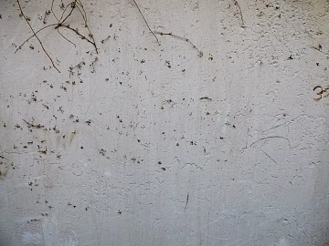 Outdoor Wall Stain White Wall texture (ID:ffabg66438)