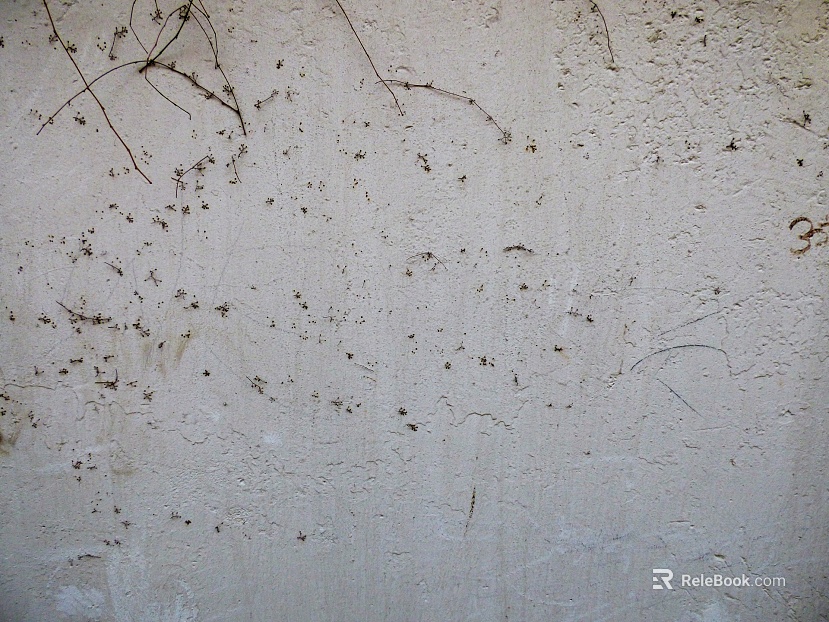 Outdoor Wall Stain White Wall texture