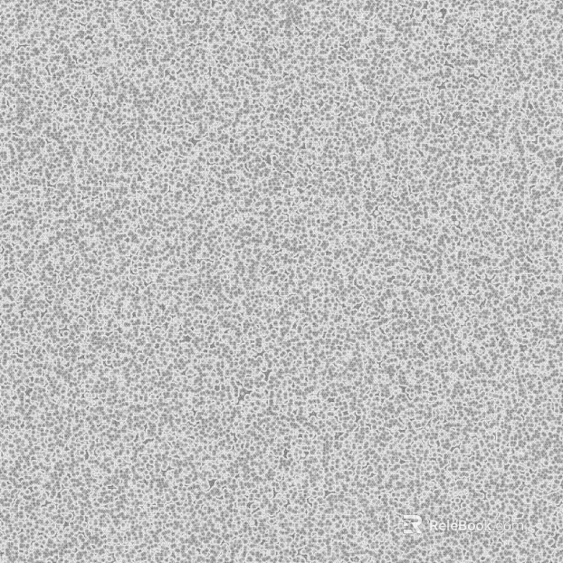 Highlight Mask texture