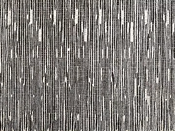 Black and White Bump texture (ID:ffacg92231)