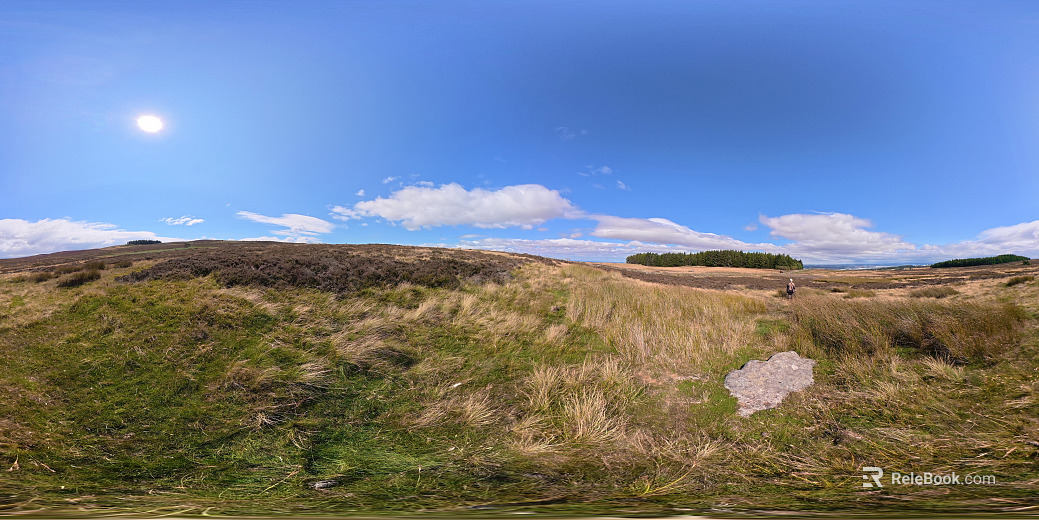 Outdoor HDR Sky Blue Sky Wild Grass texture