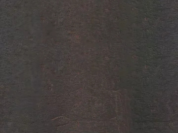 bark texture (ID:ffajg58656)