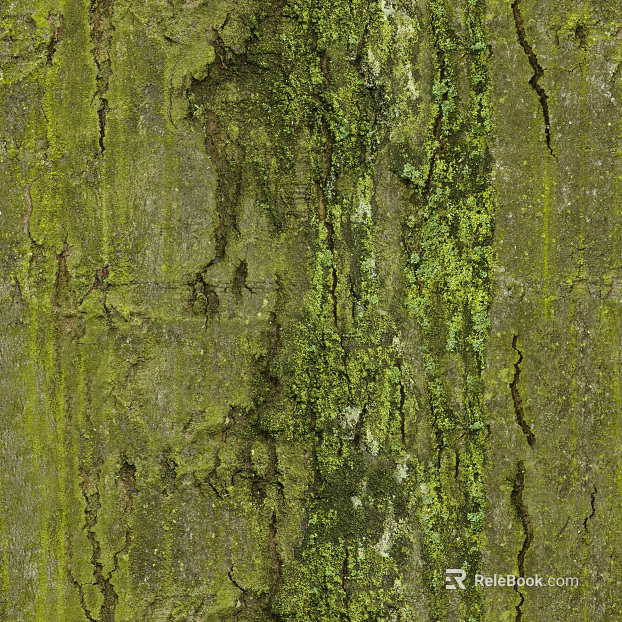 ancient tree bark texture