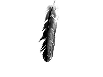 black and white painting 3d model