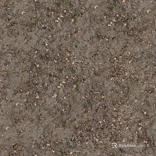 Sand texture