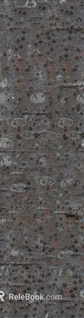 bark texture
