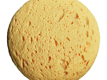 Sponge PBR texture (ID:ffach073081)
