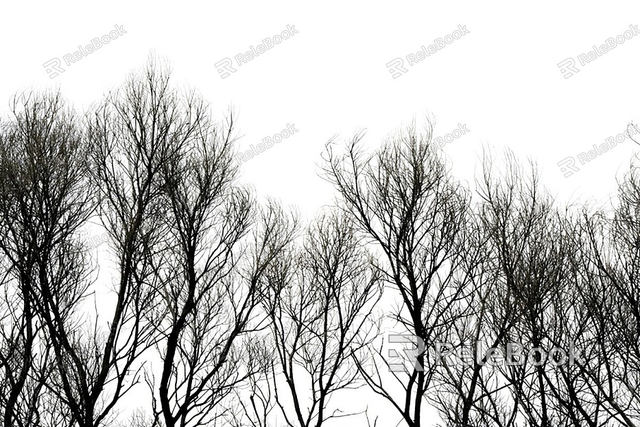 black and white tree shadow texture