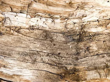 old wood texture (ID:ffagg29212)