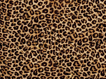 animal skin texture (ID:ffajg22627)