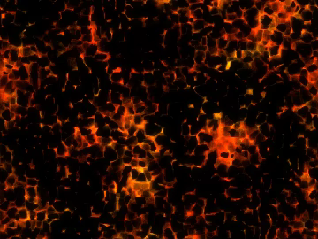 Flame texture (ID:ffaeg19178)