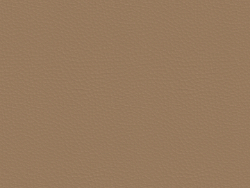 fine grain leather texture (ID:ffaag75011)