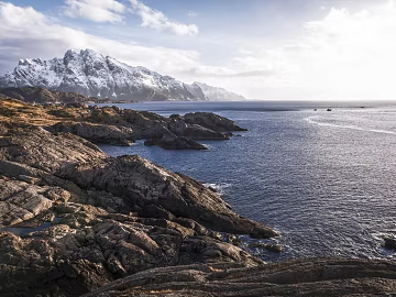 Wild Scenery 3d model