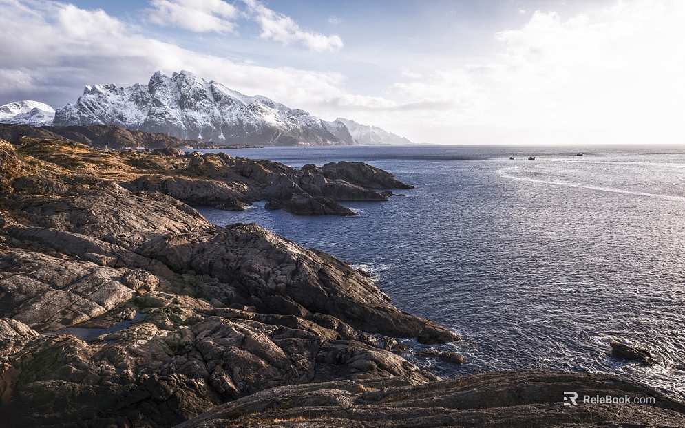 Wild Scenery texture