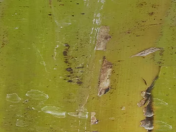 Do the old metal texture (ID:ffacg48351)