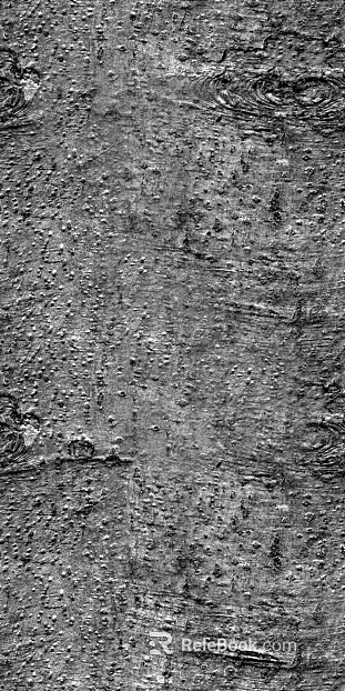 Black and White Bump texture