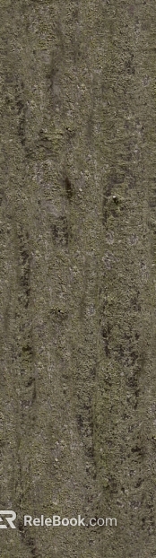 bark texture