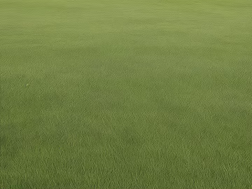 Lawn Grass Grass Green Grass Color texture (ID:ffach792774)