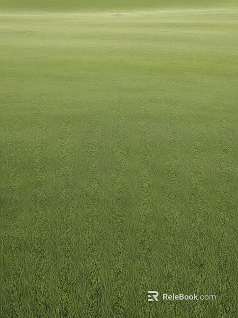 Lawn Grass Grass Green Grass Color texture