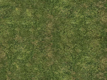Turf texture (ID:ffabg57792)