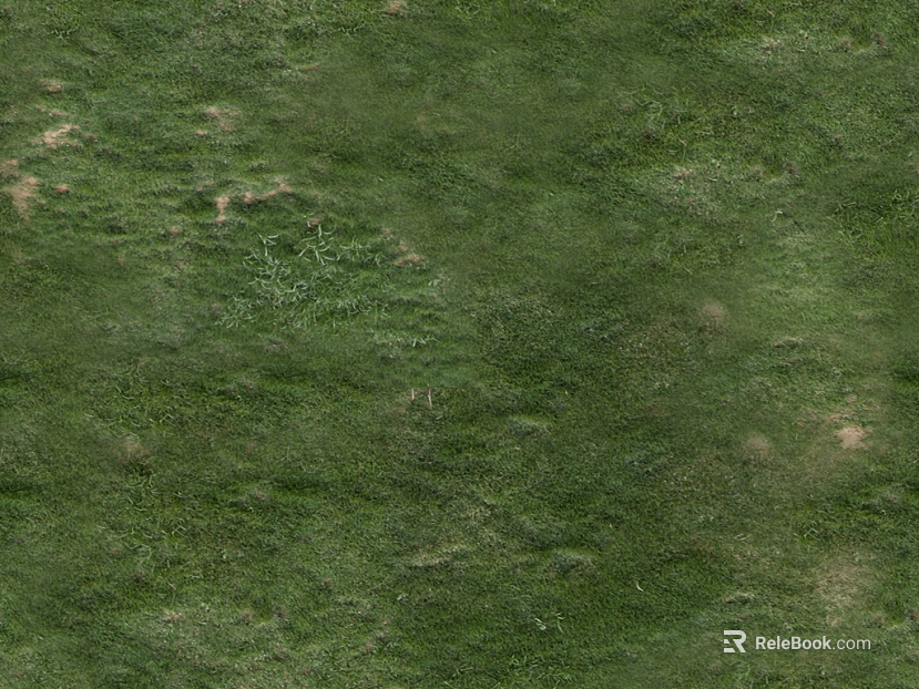 Turf texture