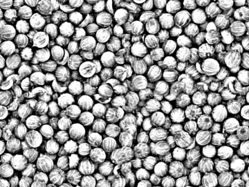 Black and White Bump texture (ID:ffacg31983)
