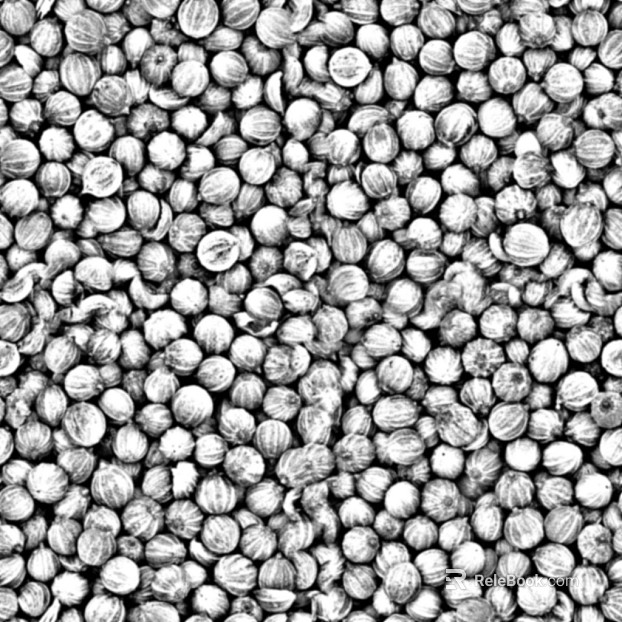 Black and White Bump texture