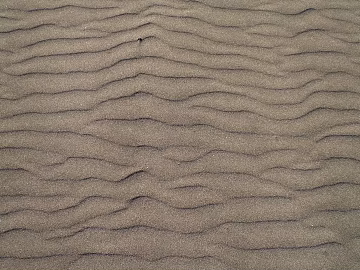 Beach 3d model