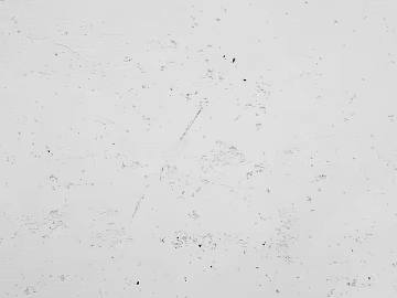 White textured paint, wall coating (ID:ffaeh311834)