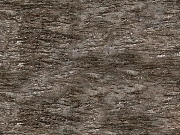 bark texture (ID:ffach575074)