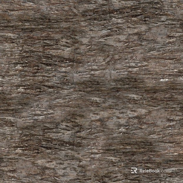 bark texture