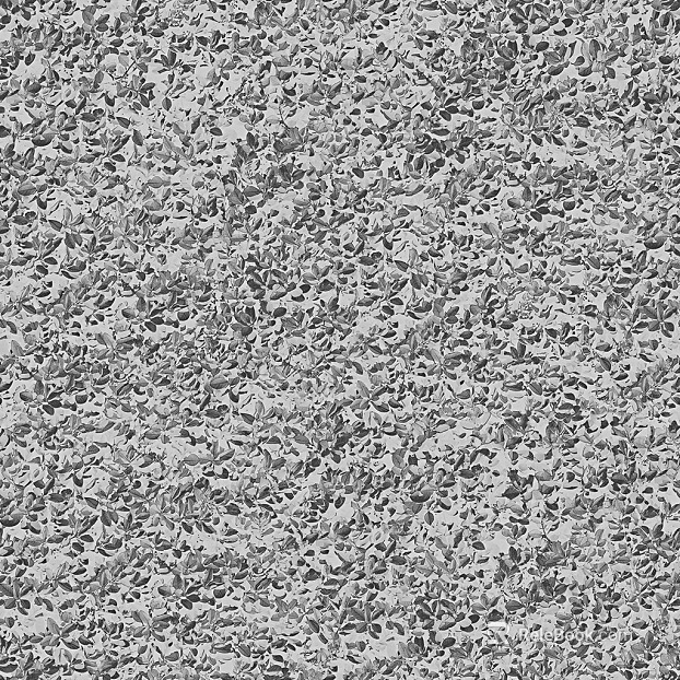 plant pattern texture