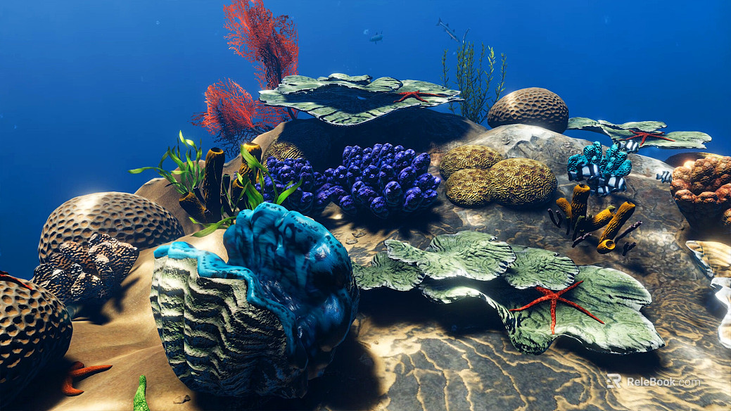 Fish tank texture