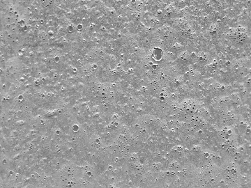 Hole stone seamless texture (ID:ffacg63643)