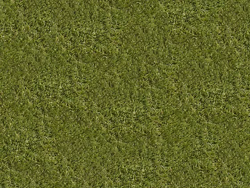 Grass Grass Slope Green Space Texture texture (ID:ffaeh939782)