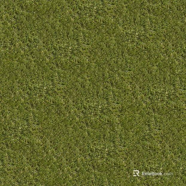 Grass Grass Slope Green Space Texture texture