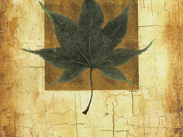 leaves texture (ID:ffaeg39900)