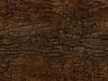 bark texture (ID:ffach900756)