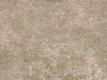 Turf texture (ID:ffajg55564)