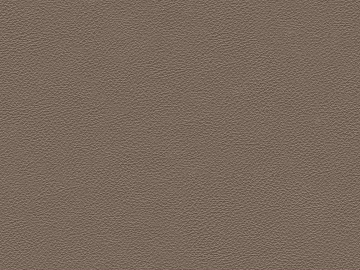fine grain leather texture (ID:ffajg18312)